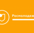 Проект «Точки притяжения» - МО Светогорское городское поселение